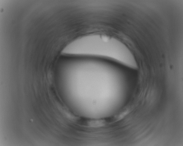 X0000062870465200601131015