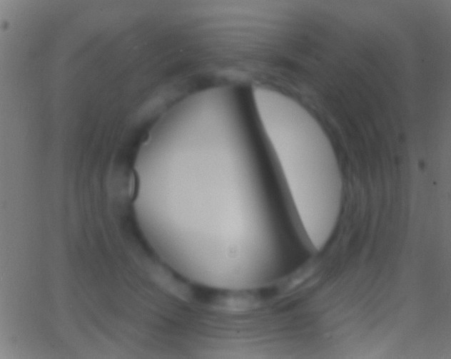 X0000062870466200601131015