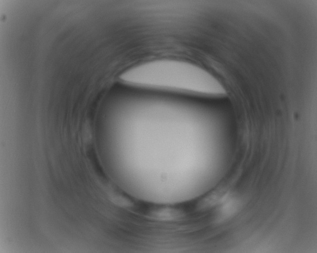 X0000062870467200601131015