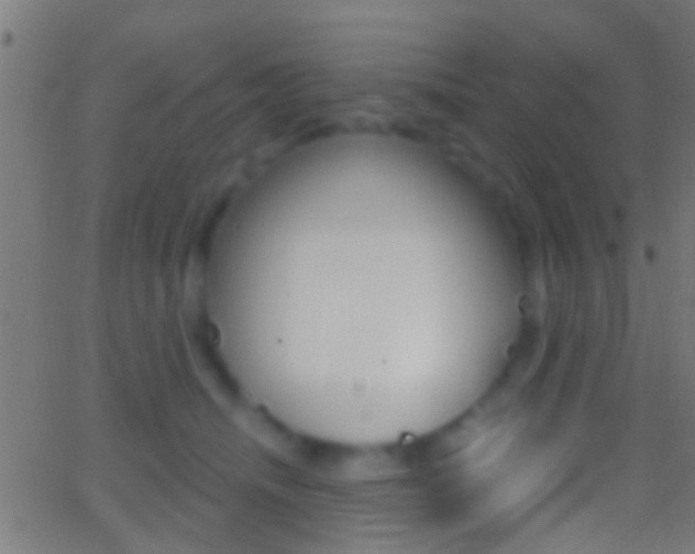 X0000062870468200601131015