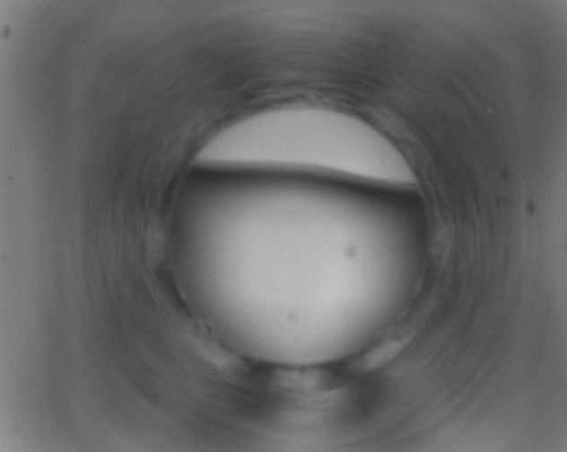 X0000062870469200601131015