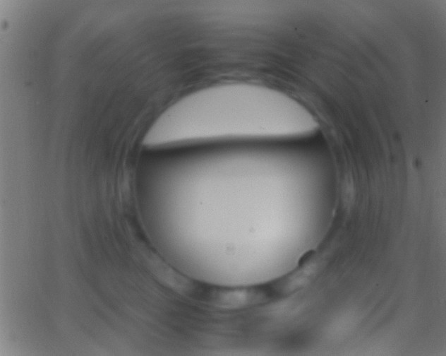 X0000062870473200601131015