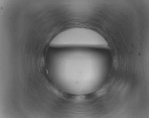 X0000062870474200601131015