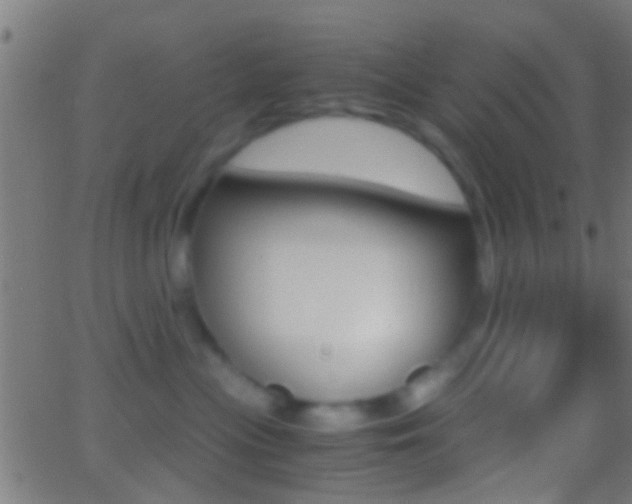 X0000062870477200601131015