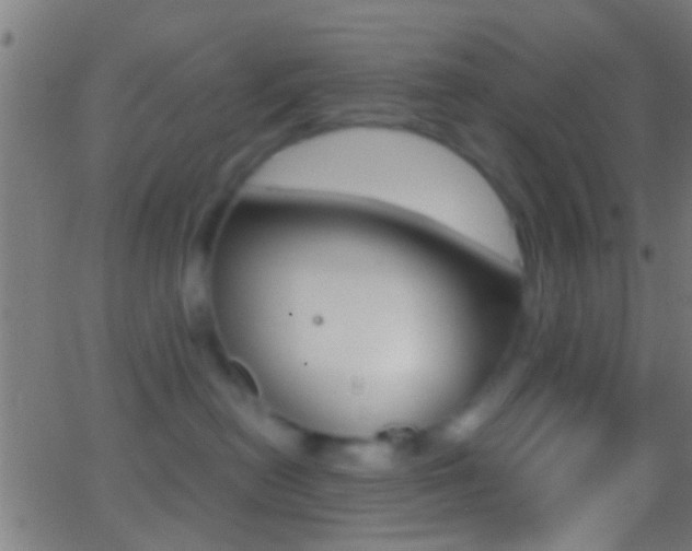 X0000062870478200601131015