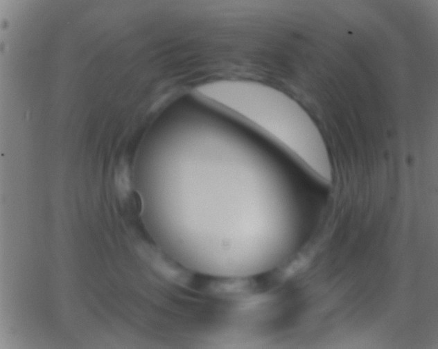 X0000062870479200601131015