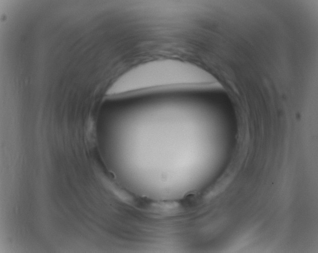 X0000062870480200601131015