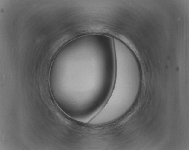 X0000062870481200601131015