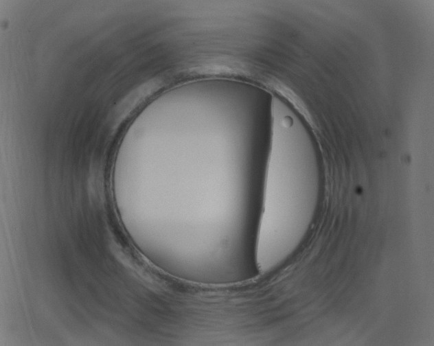 X0000062870482200601131015