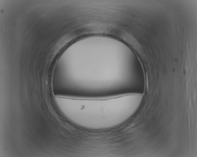 X0000062870483200601131015