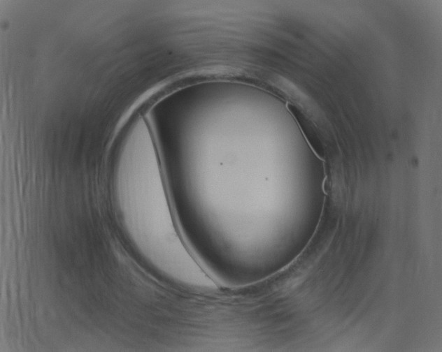 X0000062870484200601131015