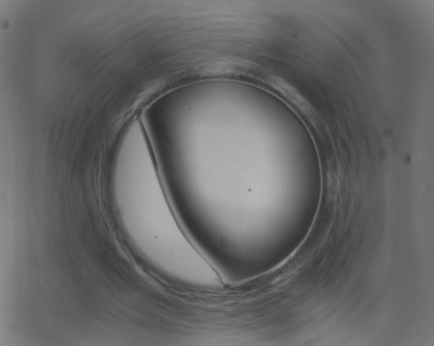 X0000062870485200601131015