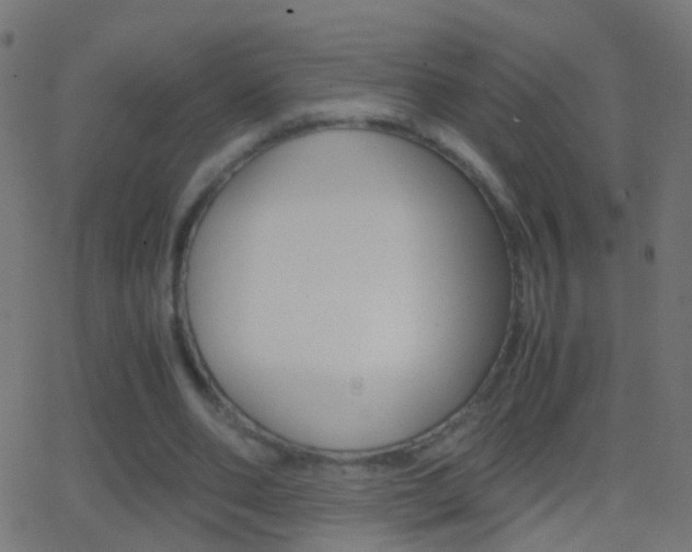 X0000062870486200601131015