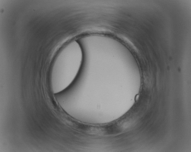 X0000062870487200601131014