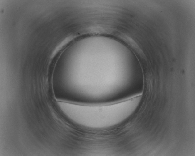 X0000062870488200601131014