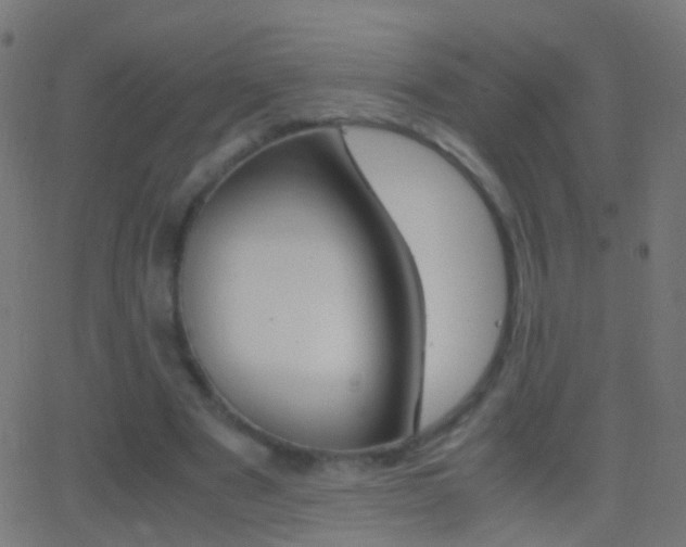 X0000062870489200601131014