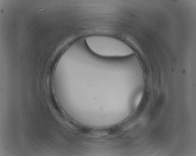 X0000062870491200601131014