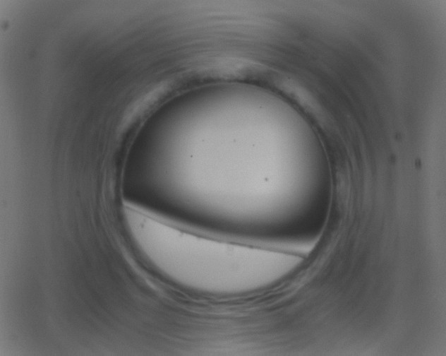 X0000062870493200601131014