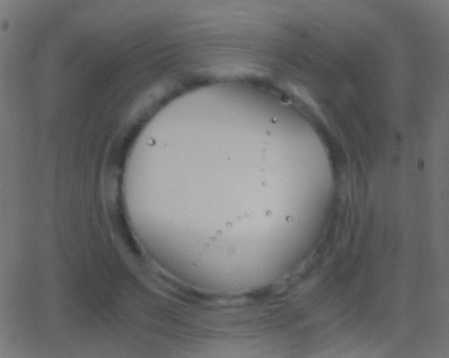 X0000062870495200601131014