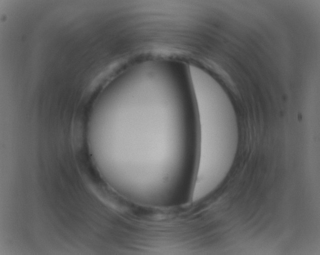 X0000062870496200601131014