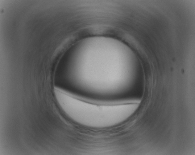 X0000062870497200601131014