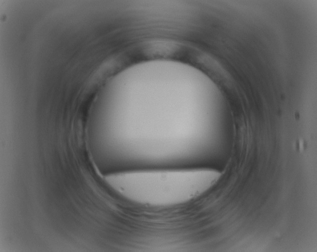 X0000062870498200601131014