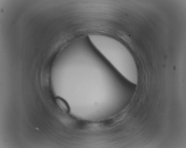 X0000062870499200601131014