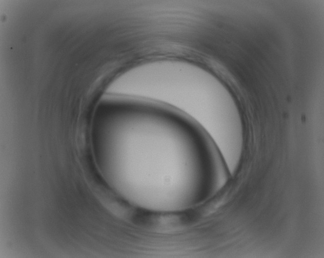 X0000062870501200601131014