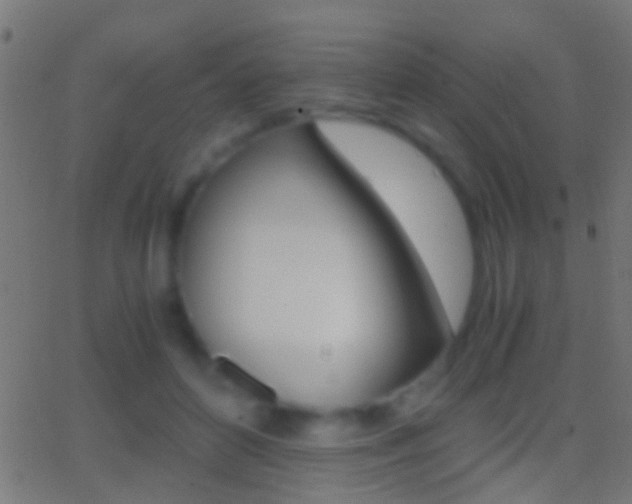 X0000062870504200601131014