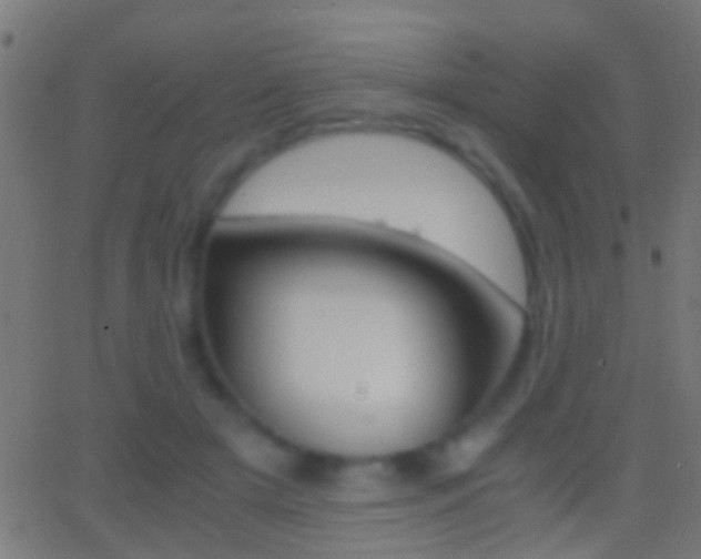 X0000062870505200601131014