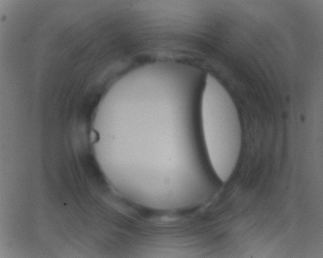 X0000062870506200601131014