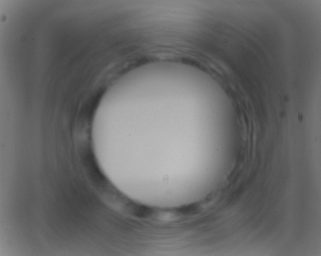 X0000062870507200601131014