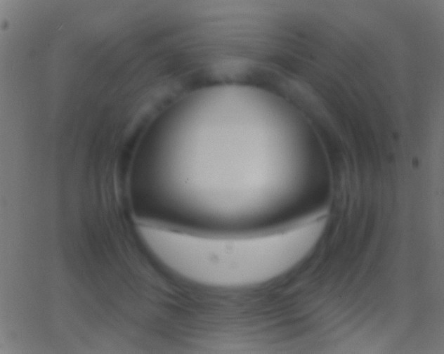 X0000062870508200601131014