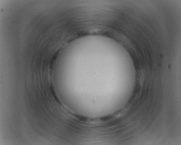 X0000062870510200601131014