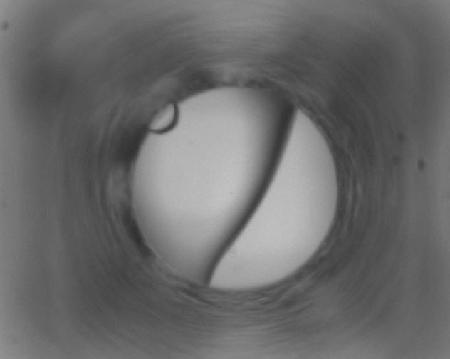 X0000062870511200601131014