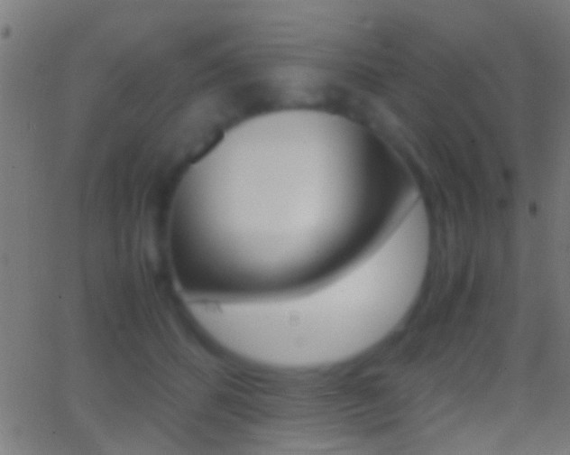 X0000062870512200601131014