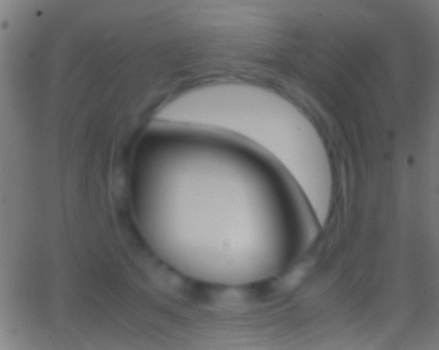 X0000062870513200601131014