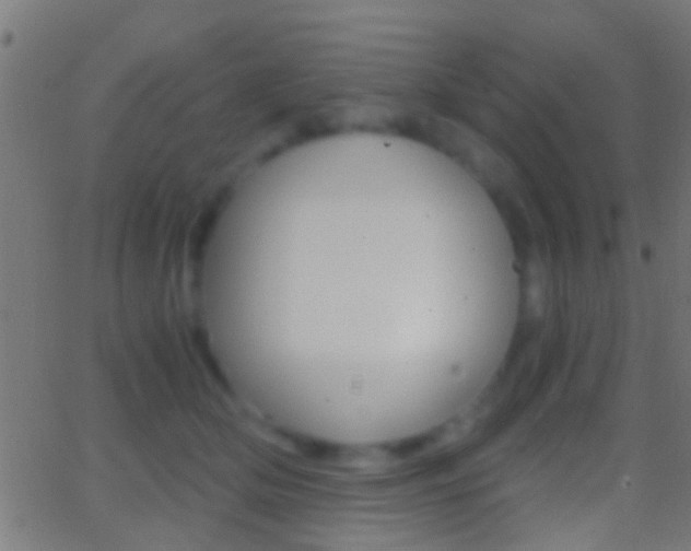 X0000062870514200601131014