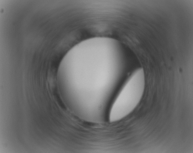 X0000062870515200601131014