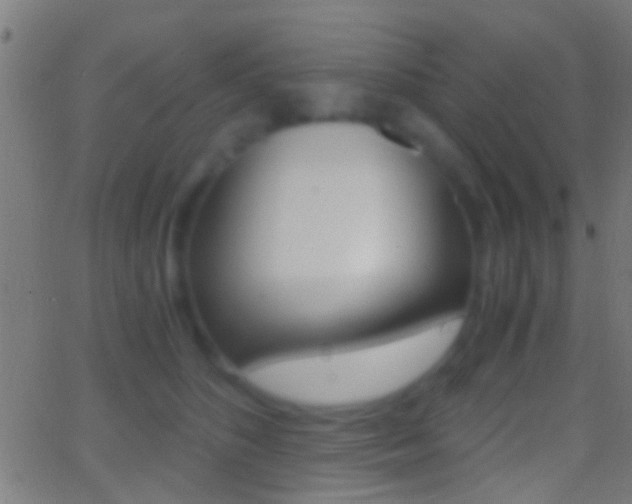 X0000062870516200601131014