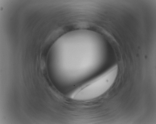 X0000062870517200601131014