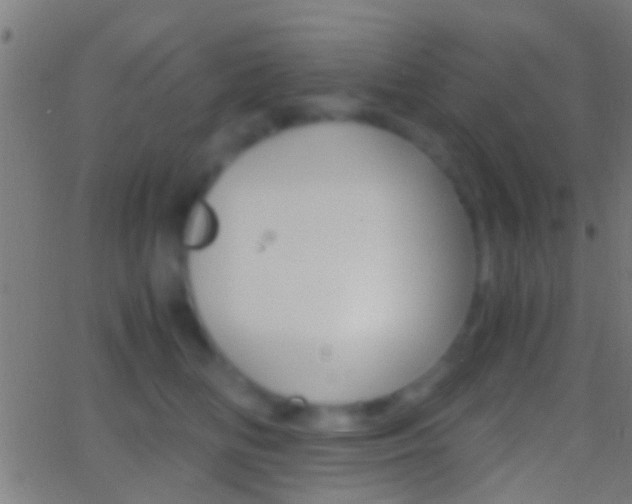 X0000062870518200601131014