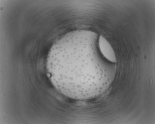 X0000062870519200601131014