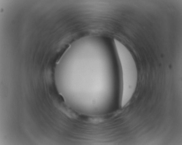 X0000062870520200601131014