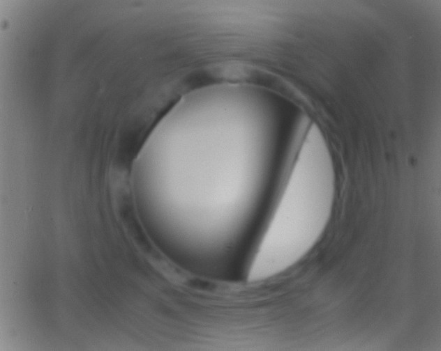 X0000062870521200601131014