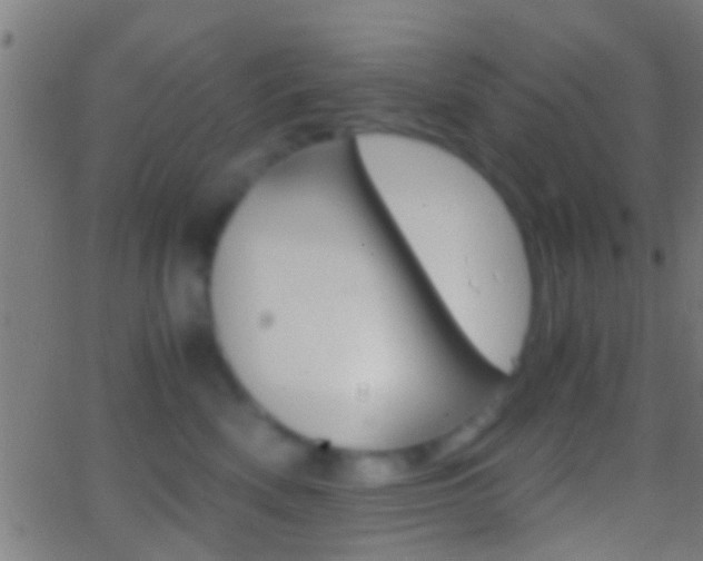 X0000062870522200601131014