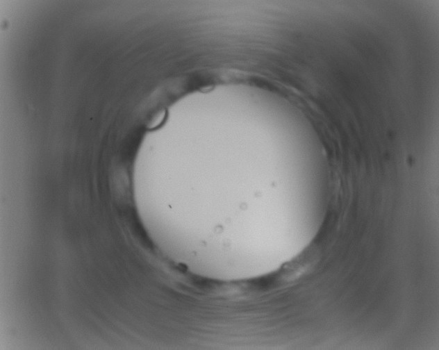 X0000062870523200601131014