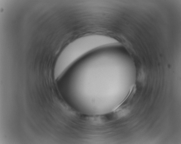 X0000062870524200601131014