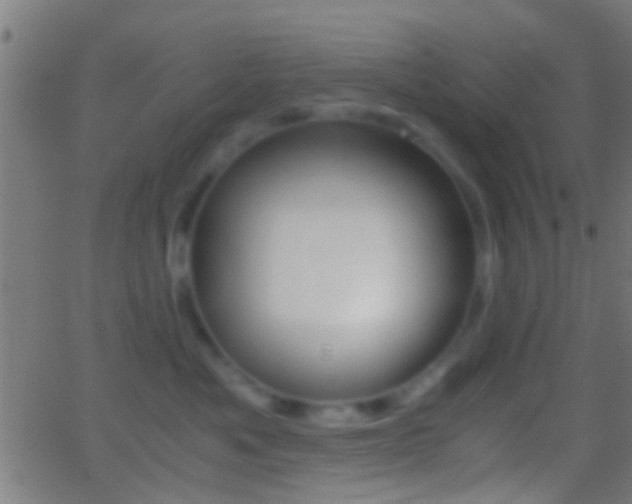 X0000062870525200601131014