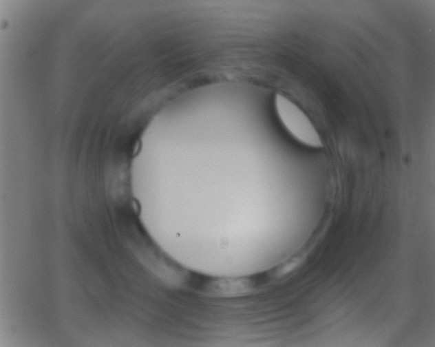 X0000062870526200601131014